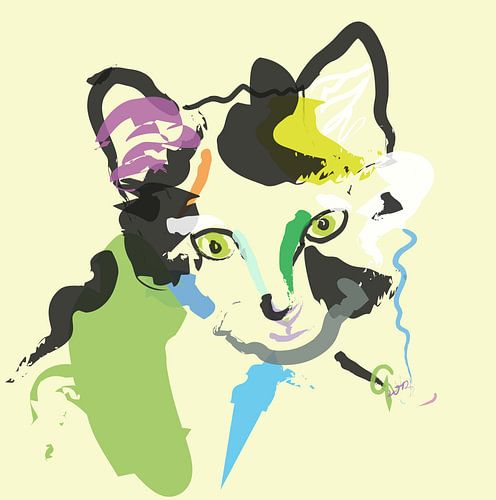 Katze Sam von Go van Kampen