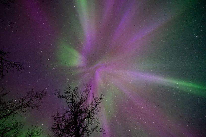 Couronne d'aurores boréales par Arina Kraaijeveld
