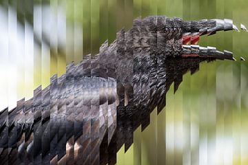 portret van een schreeuwende jonge raaf (Corvus corax), de grote volledig zwarte passerijnse vogel i van Maren Winter