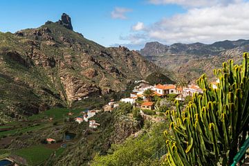 Tejeda Gran Canaria, Canarische Eilanden van Peter Schickert