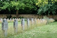 Begraafplaats | Vestre Kirkegård van Laura Maessen thumbnail