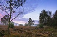 The heath landscape at tomorrow by Edith Albuschat thumbnail