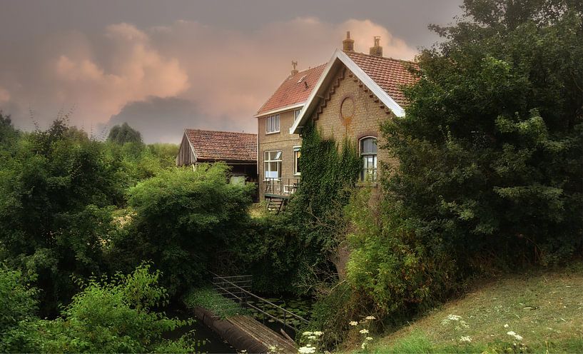 't Vissertje van Bert Seinstra