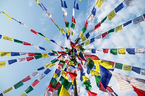De vlag van Tibet - gebedsvlag.