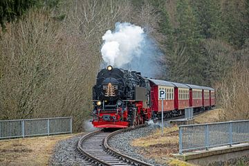 De Harz spoorlijn tussen verdriet en ellende van t.ART