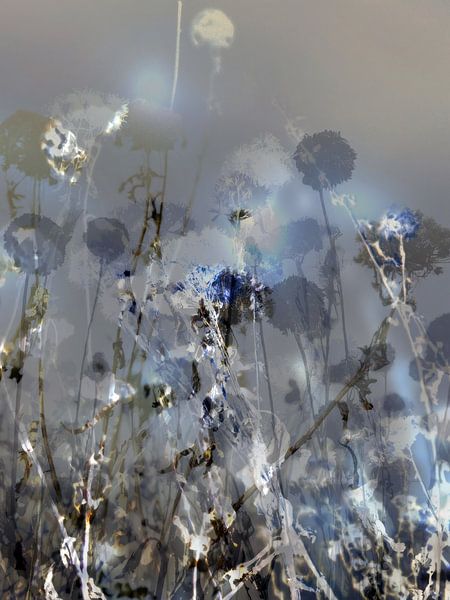 The Fields XXIX by Zand