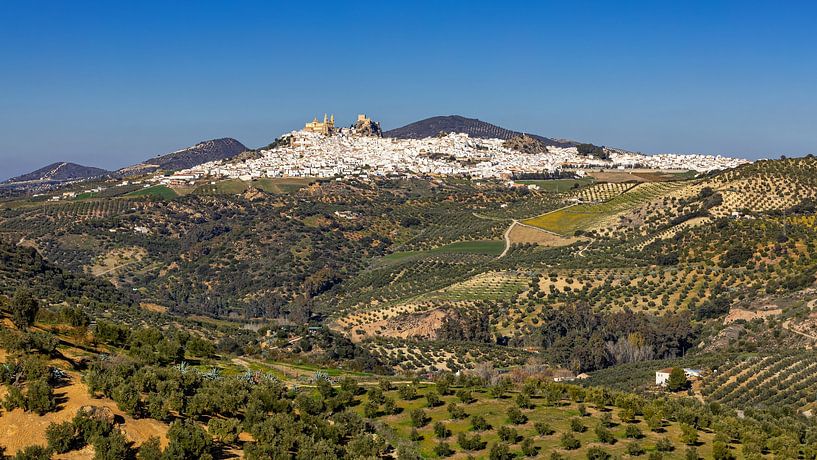 Olvera between olive groves 1, Spain by Adelheid Smitt