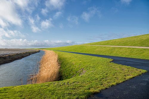 Groningen Wijds landschap