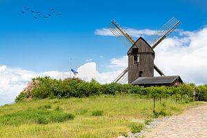 Windmühle im Dorf Pudagla auf Usedom von Tilo Grellmann