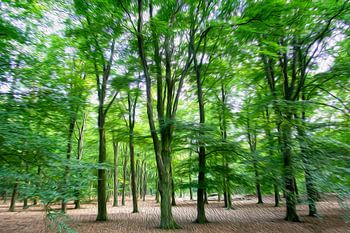 Zweige voller grüner Blätter tanzen im Wind