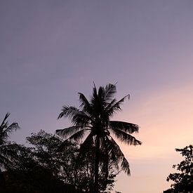 Lombok zonsondergang van Raisa Zwart
