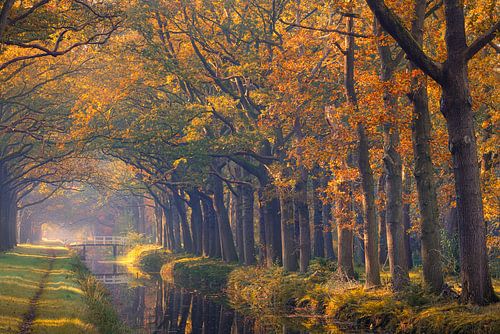Automne en Drenthe