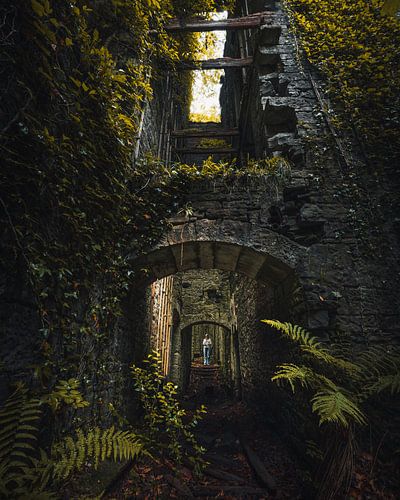 Where nature reclaims the castle 5