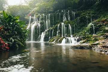 Chute d'eau enchanteresse dans la jungle de Bali, Indonésie sur Troy Wegman