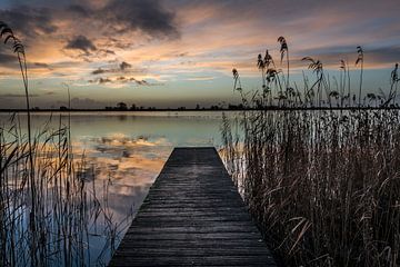 Vissteiger aan de Veluwemeer