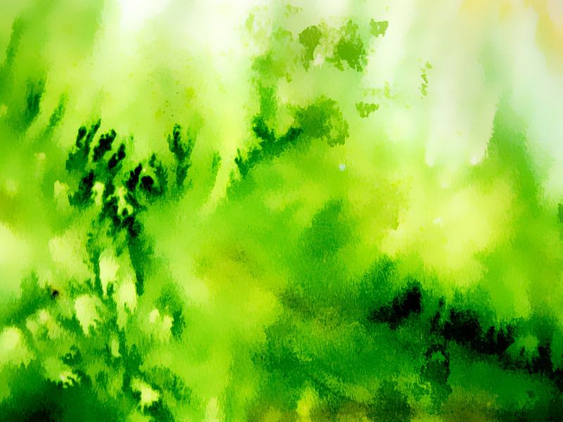 Lichtung van M.A. Ziehr