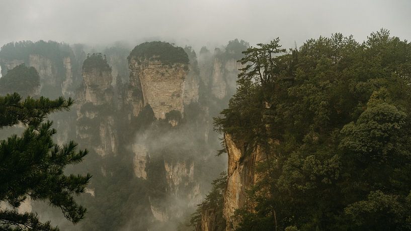 Mystical mountain scenery in Zhangjiajie National Forest Park, Hunan, China. by Diederik De Mezel