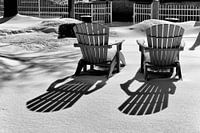 Le froid de l'hiver