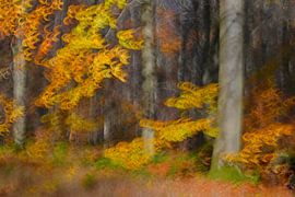 HERBSTTAG 10 von Miroslav Ptacek