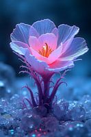 Eis Anemone