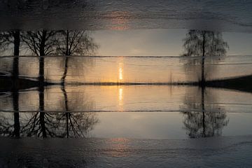 Reflet de la lumière du soleil et des arbres dans l'eau 4