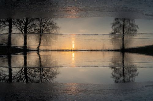 Reflectie van zonlicht en bomen in het water 4