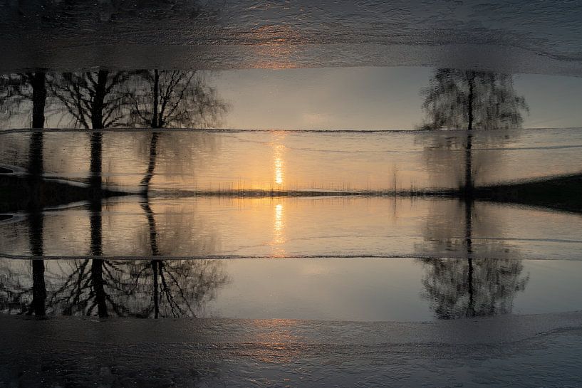 Reflection of sunlight and trees in the water 4 by Adriana Müller