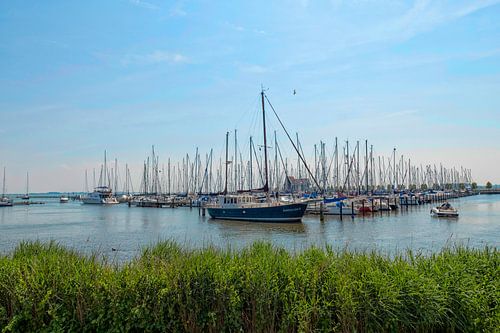 Voiliers dans le port de plaisance de Volendam