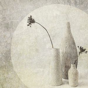Nature morte avec des fleurs séchées. Japandi. De base.