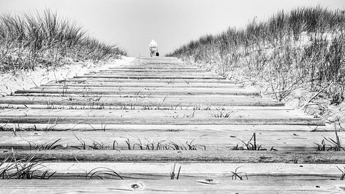 To the beach (B&W)
