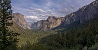 Yosemite NP - uitkijk over de vallei van Toon van den Einde thumbnail
