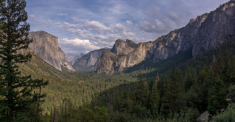 Yosemite NP - uitkijk over de vallei van Toon van den Einde
