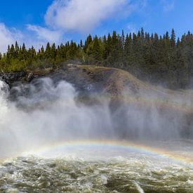 Tosender Wasserfall mit Regenbogen von Daniela Beyer
