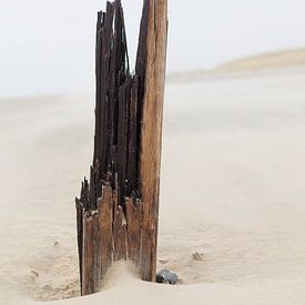 Weathered pole on Texel beach by Marjan Schmit Visser