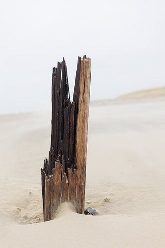 Verweerde paal op het strand van Texel van Marjan Schmit Visser