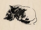 Micky en Noesje tekening van twee katten van Pieter Hogenbirk thumbnail