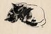 Micky en Noesje tekening van twee katten von Pieter Hogenbirk