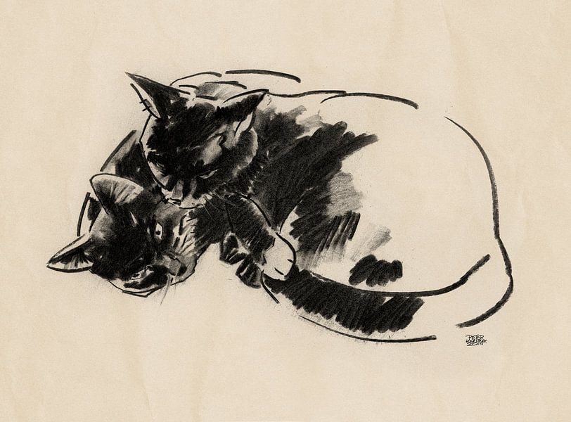 Micky en Noesje tekening van twee katten van Pieter Hogenbirk
