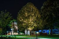 Verlichte boom in Waalwijk