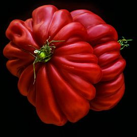 Pleated beauty by Vera Zuur