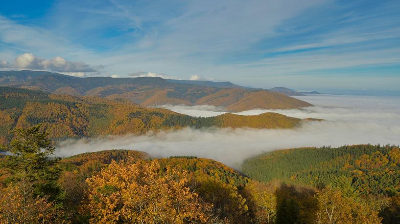 Nebelschwaden in den Tälern der Vogesen im Elsass von Tanja Voigt
