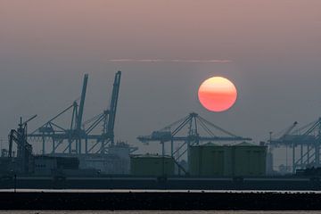 Zonsondergang op de Maasvlakte, Hoek van Holland / Rotterdam van Eddy Westdijk