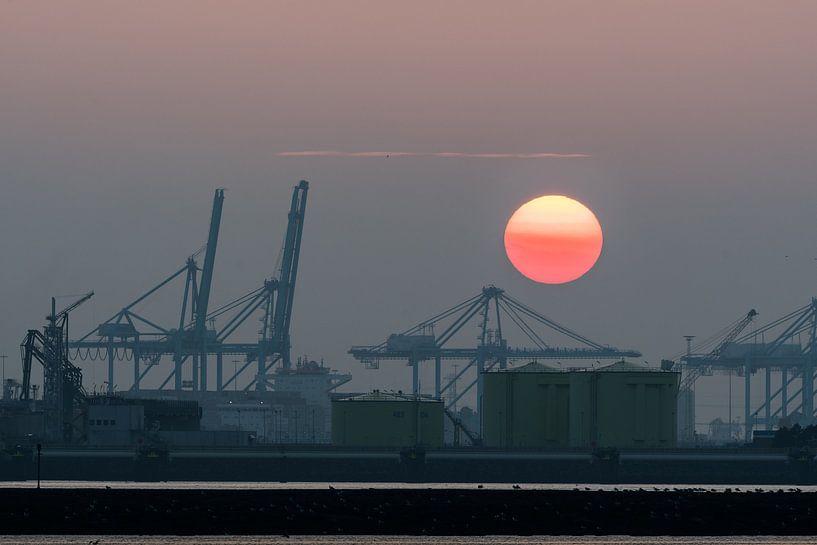 Maasvlakte, Hoek van Holland / Rotterdam par Eddy Westdijk