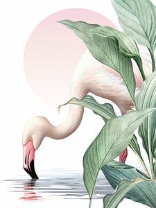 The Flamingo