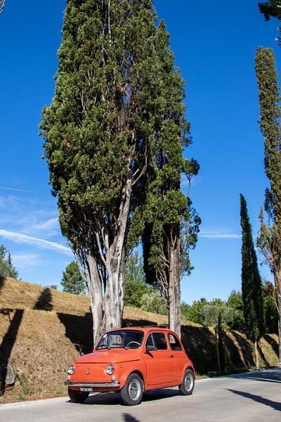 Fiat 500 at Cypresses by Jolanda van Eek en Ron de Jong