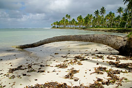 Een momentje alleen op het strand in de Dominicaanse Republiek van Alberé de Ville