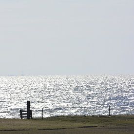 IJsselmeer  van Nico Feenstra
