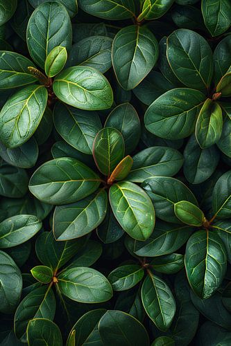 Close-up van groene bladeren en stengels