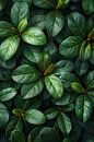 Close-up van groene bladeren en stengels van Art & Soul Creations thumbnail