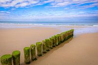 Waiting for the Sea